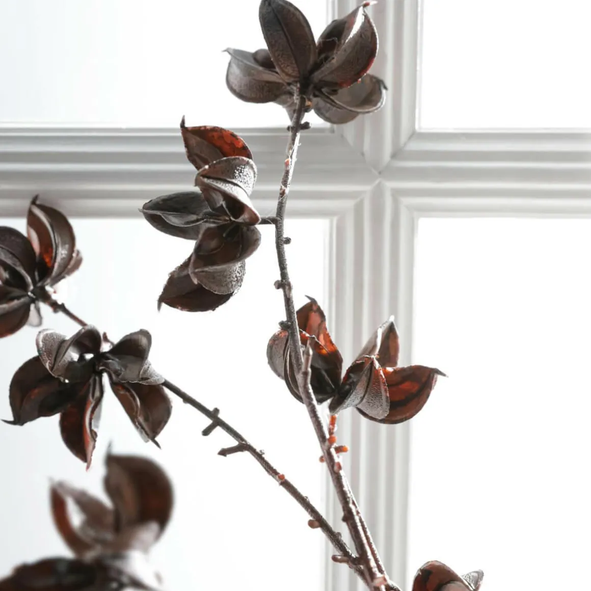 Rama Decorativa Infrutescencia Del Algodón 110 Cm