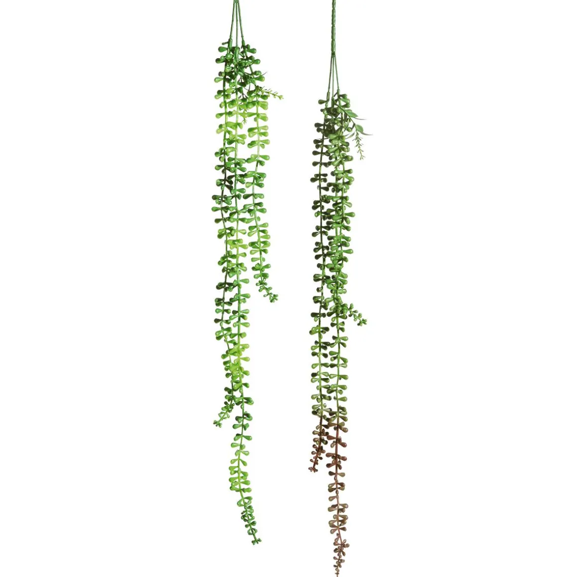 Ramas Artificiales Senecio Planta Guisante