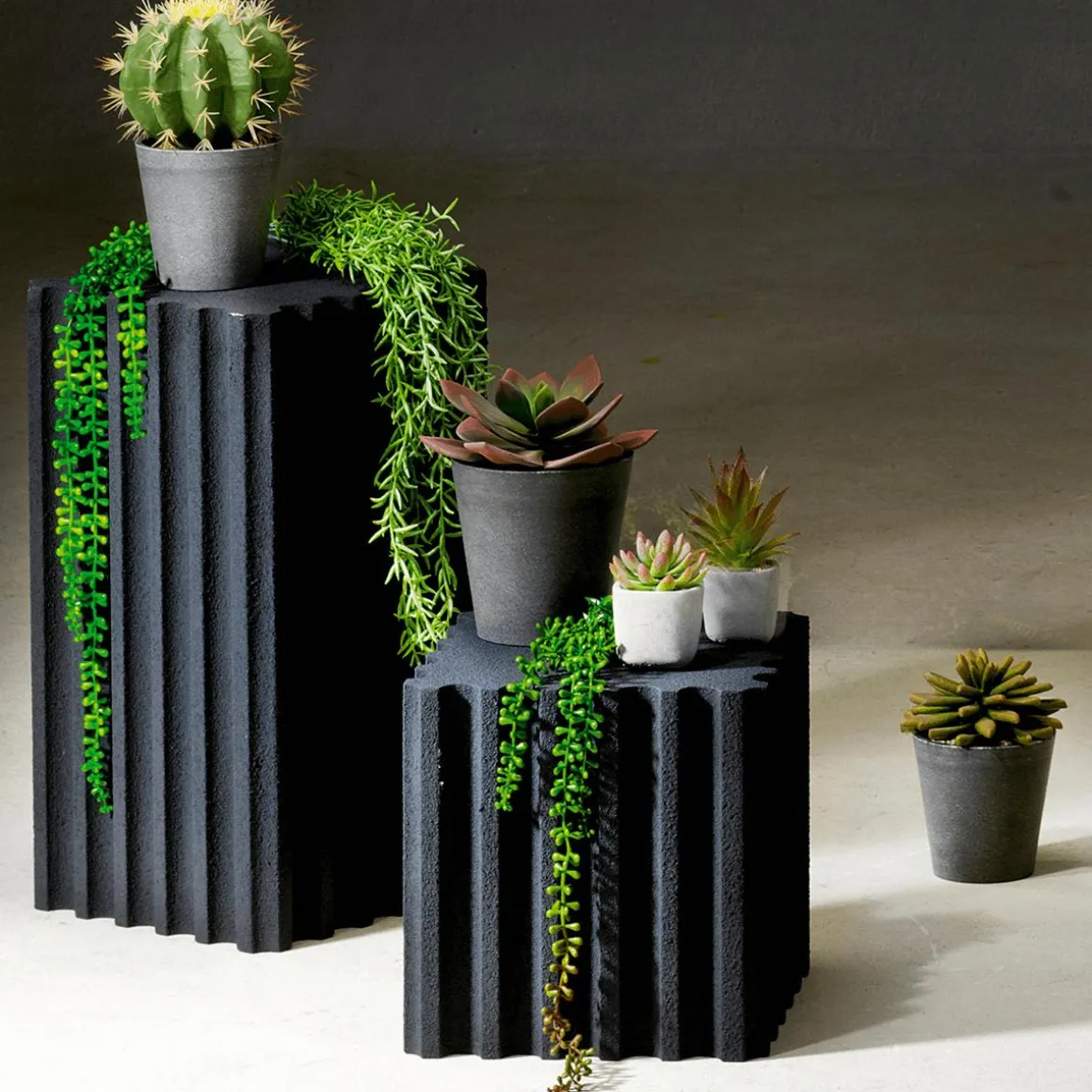 Ramas Artificiales Senecio Planta Guisante