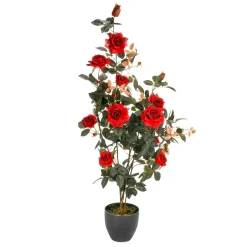 Ramo De Rosas En Maceta 115 Cm