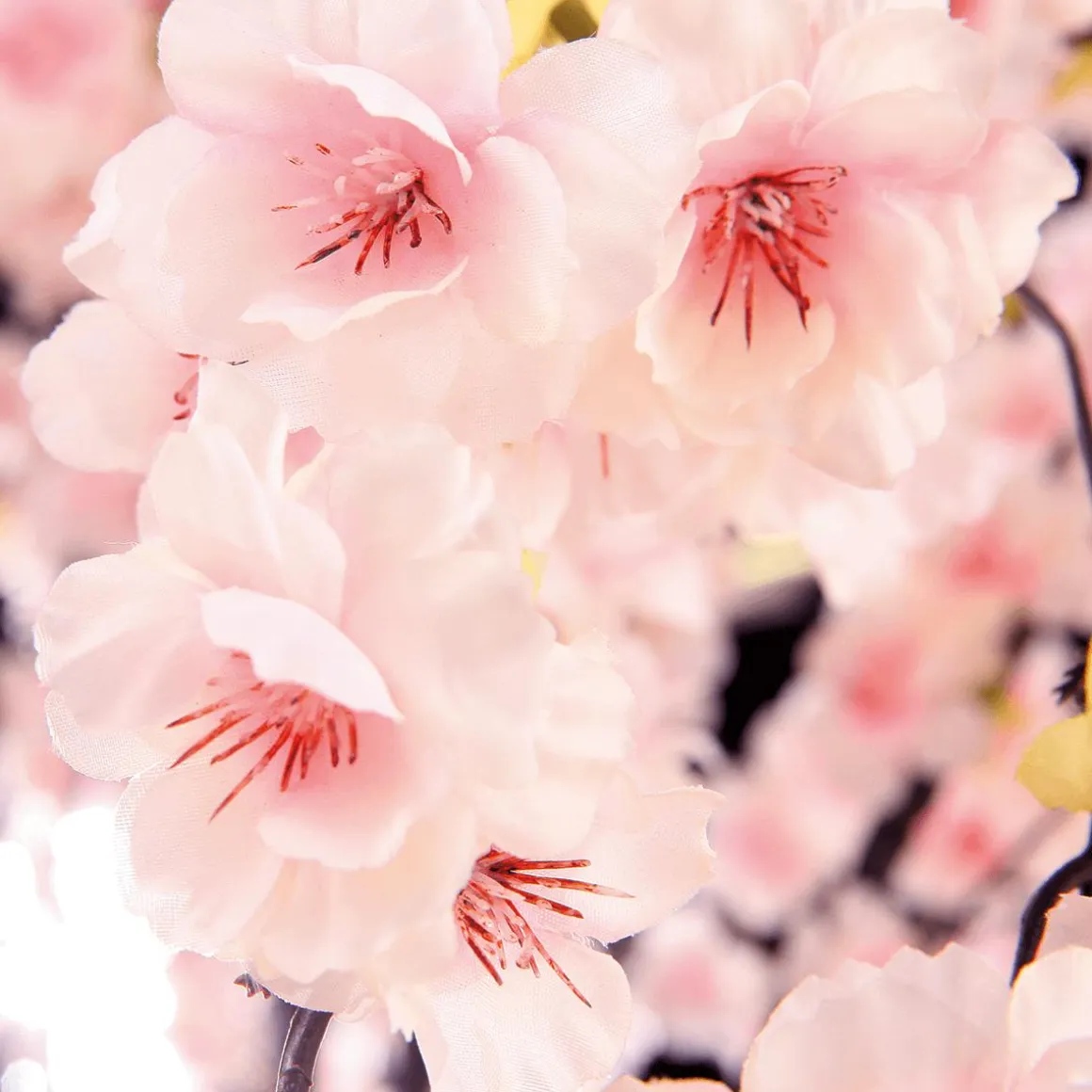 Árbol De Flores De Cerezo Artificial Blanco, 150 Cm