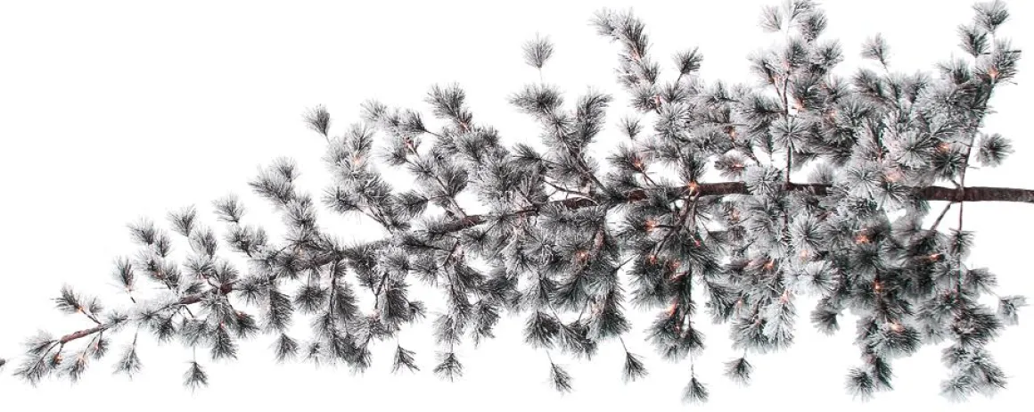 Árbol De Navidad Artificial Colgante Pino Con Agujas Escarchadas Y LED 300 Cm