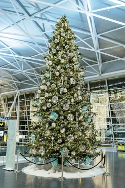 Árbol Gigante 