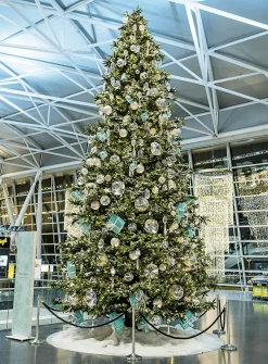 Árbol Gigante 