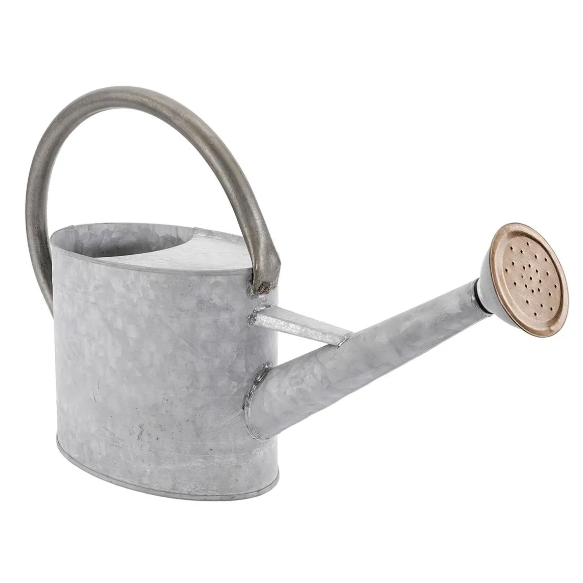 Regadera De Zinc De 47 Cm