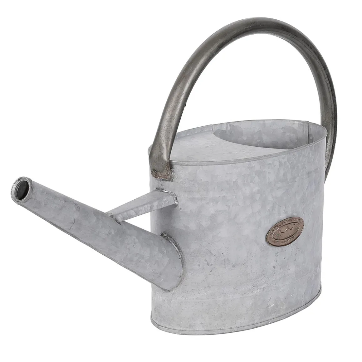 Regadera De Zinc De 47 Cm