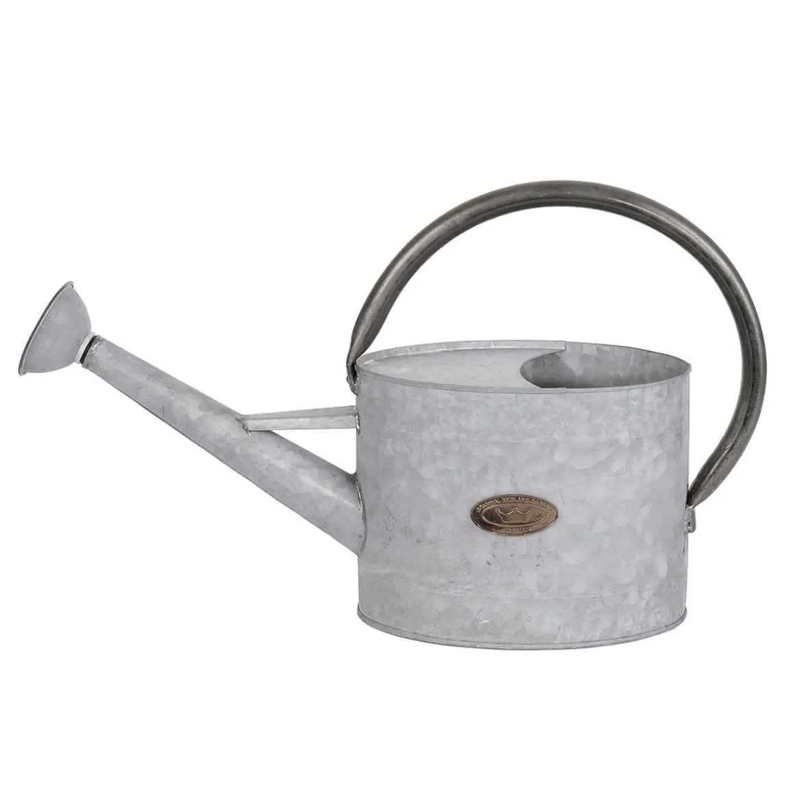 Regadera De Zinc De 47 Cm