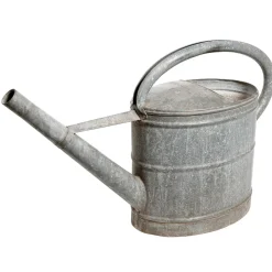 Regadera Decorativa