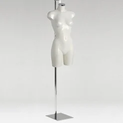 Soporte Metálico Para Torsos, Alojamiento Para Sujeción De Nuca