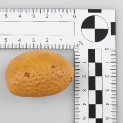 Surtido Mixto De Frutos Secos - Bolsa De 200 G De Chucherías