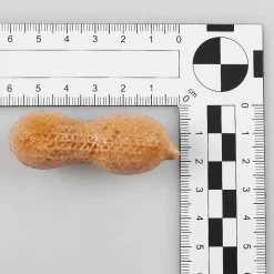 Surtido Mixto De Frutos Secos - Bolsa De 200 G De Chucherías