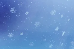 Tela De Organza Copos De Nieve Blanco Anchura 150 Cm