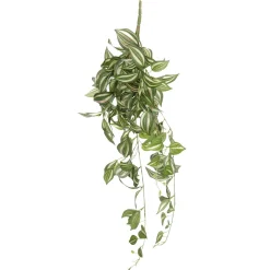 Tradecantia Colgante En Maceta De 65 Cm