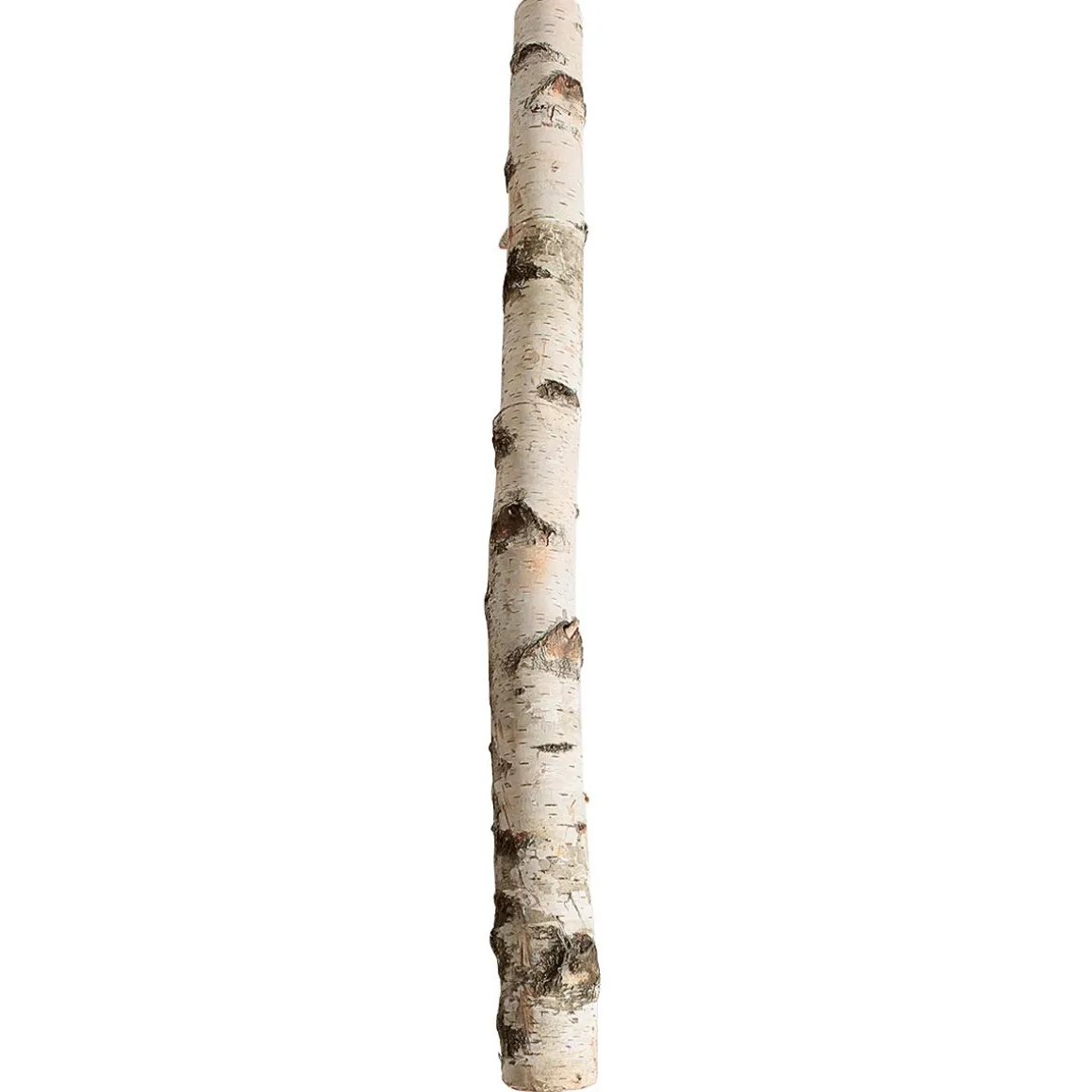 Tronco De Abedul 100 Cm Aprox. 6-10 Cm Ø