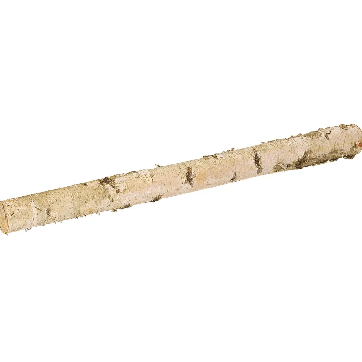 Tronco De Abedul 100 Cm Aprox. 6-10 Cm Ø