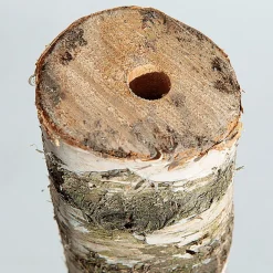 Tronco De Abedul 100 Cm Aprox. 6-10 Cm Ø