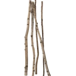 Troncos De Abedul Decorativos, 170 Cm, 5 Piezas