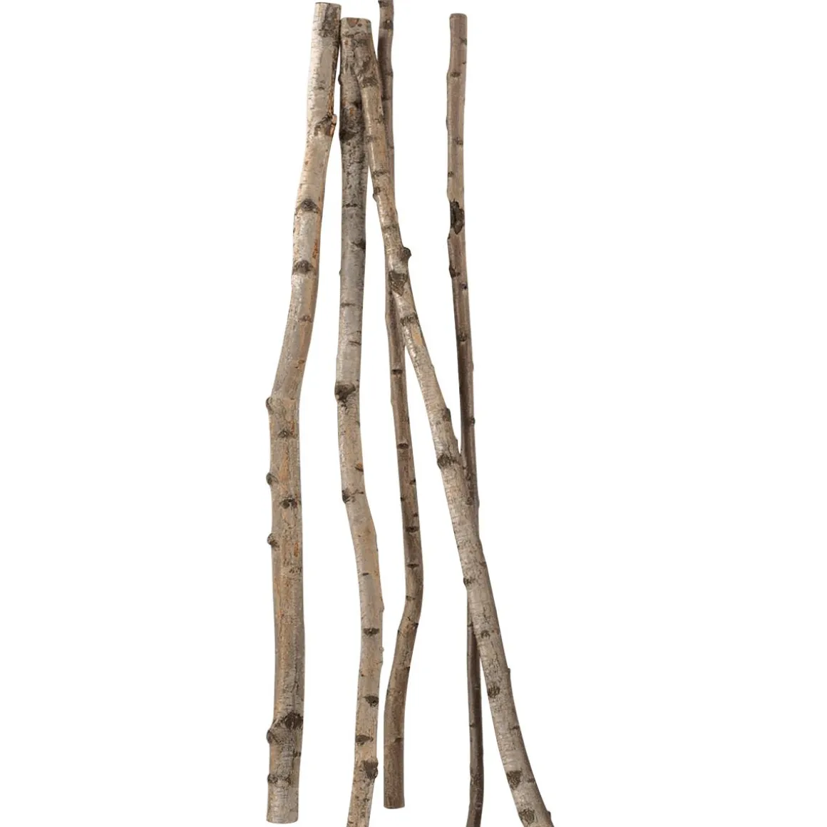 Troncos De Abedul Decorativos, 170 Cm, 5 Piezas