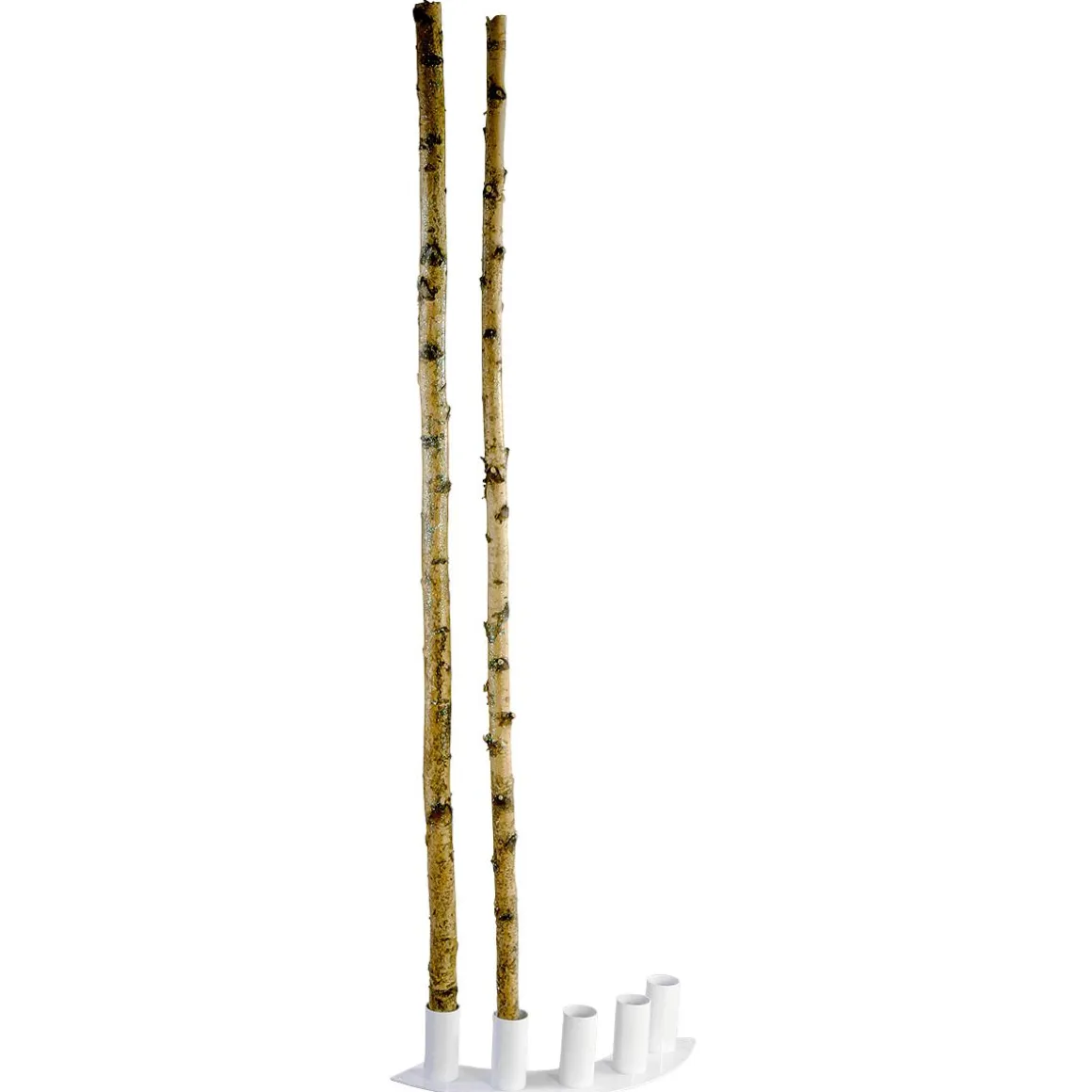Troncos De Abedul Decorativos, 170 Cm, 5 Piezas