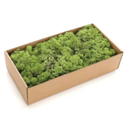 Verdadero Musgo Natural 500 G