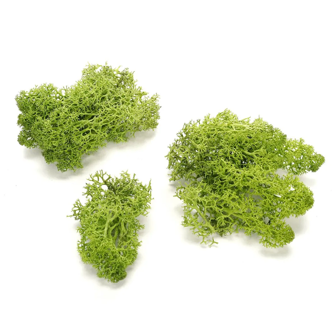 Verdadero Musgo Natural 500 G