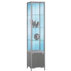 Vitrina Con Compartimento Cerrado, 186 X 40 X 40 Cm