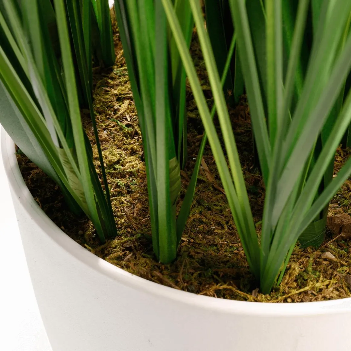 XXL Deco Tiger Grass En Maceta Blanca 150 Cm
