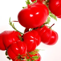 Zarcillo De Tomates Artificial 50 Cm